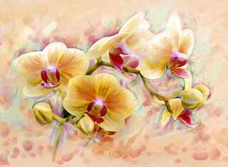 Фотопанно Divino Орхидея живопись (C-300)